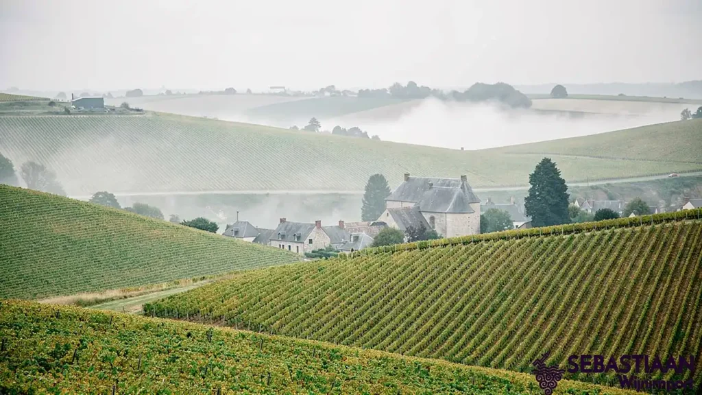 Glooiende wijngaarden in de Champagnestreek Frankrijk Glooiende wijngaarden in de Champagnestreek Frankrijk